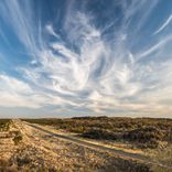 Artwork for "Peerless Beat"