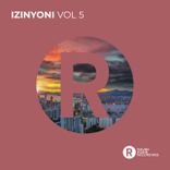Artwork for "Izinyoni, Vol. 5"