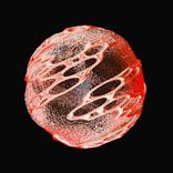 Artwork for "Big Beat Servers, Vol. 1"