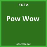 Artwork for "Pow Wow"