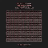 Artwork for "We Will Know"