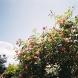 Artwork for "Fragile Moments"