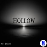 Artwork voor "Hollow"