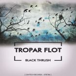 Portada para "Black Thrush"