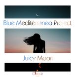 Artwork voor "Juicy Moon"