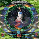 Field Sketches in Kouya