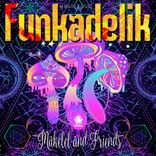 Artwork for "Funkadelik"