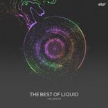 Artwork voor "The Best of Liquid, Vol.04"