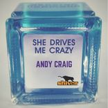 Artwork for "She Drives Me Crazy"