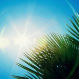 Artwork for "Sunbeam"