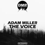 Artwork for "The Voice"