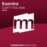 Artwork for "Can't You See"