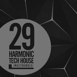 Artwork for "29 Harmonic Tech House Multibundle"