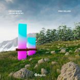 Artwork for "Free Falling"