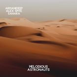 Artwork for "Sahara"