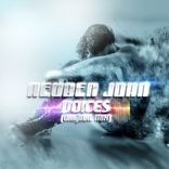 Artwork for "Voices"