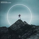 Artwork voor "Never Wanna Leave"