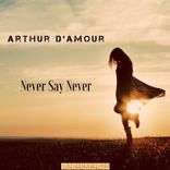 Artwork for "Never Say Never"