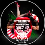 Portada para "Matrix Grooves"