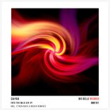 Artwork for "Into the Wild Air"