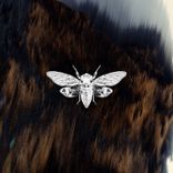 Artwork for "Everybody Moving"