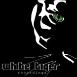 Artwork for "Cold Stellar Atmosphere"