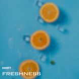 Portada para "Freshness"