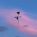 Artwork for "Passione"