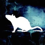 Artwork for "Beginnings"