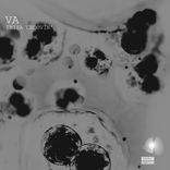 Artwork voor "Ibiza Groovin'"