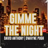 Artwork for "Gimme The Night"