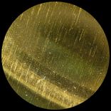 Artwork voor "Antisense"