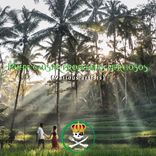 Portada para "Puede causar problemas nerviosos"