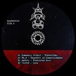 Tapestry of Consciousness