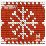 Artwork for "Life Is Wonderful"