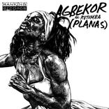 Artwork for "Agbekor"