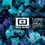Artwork for "Llamas / Apple"