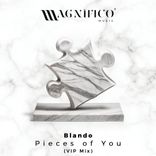 Artwork voor "Pieces Of You (VIP Mix)"