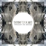 Artwork voor "Through The Woods"