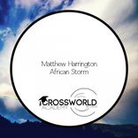 Artwork für "African Storm"