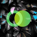 Artwork for "Paradise"