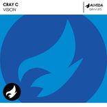 Artwork voor "Vision"