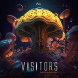 Artwork for "Magic Mushroom"