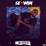 Artwork for "SE-YAYA"