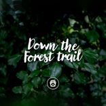 Portada para "Down The Forest Trail"