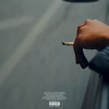 Portada para "cold lewisham roses"