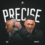 Artwork for "Precise"