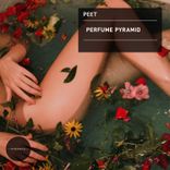 Artwork for "Perfume Pyramid"