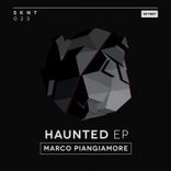 Artwork voor "Haunted"