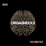 Portada para "Fly Roy Fly"